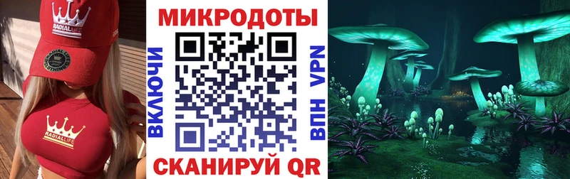 где продают наркотики  Сураж  Псилоцибиновые грибы Psilocybe 